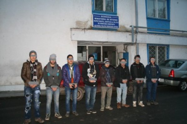 Opt migranţi afgani, depistaţi la 